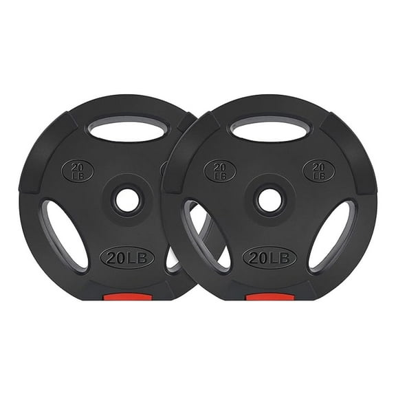 Vinyl Standard 1-Inch Plate Weight Plate for Strength Training and Weightlifting, 20-Pound, Pair