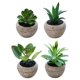 thumbnail image 1 of Uds mini simulación suculentas bonsái adornos creativos plantas artificiales pequeñas macetas redondas, 1 of 5