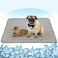 thumbnail image 1 of Summer Pet Cooling Mat Ice Silk Moisture-proof Dog Mat Cooler Cool Mattress Cushion Puppy Cat Kitten Sleeping Mat Keep Cool Bed, 1 of 7