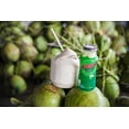 thumbnail image 4 of Taste Nirvana Real Premium Coconut Water, 10.14 Oz (Pack of 12), 4 of 12