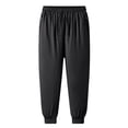 thumbnail image 1 of Winter Men's Lambing Fleece Windproof Cotton Fleece Sports Pants - Straight Leg, Leg Binding, Oversized Fit, 1 of 8