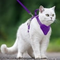 thumbnail image 3 of Cat Harness and Leash Set Escape Proof for Kitten Walking, Soft Adjustable Top Handle Vest Harnesses for Cats, Easy Control Breathable Reflective Small Medium Large, Purple, S, 3 of 10