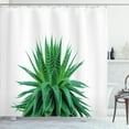 thumbnail image 1 of Ambesonne Plant Shower Curtain, Vibrant Aloe Vera, 69"Wx70"L, Fern Green, 1 of 3