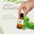 thumbnail image 3 of GreenHealth 100% Pure Rose Geranium Essential Oil - Uncut, Natural Aromatherapy Oil - 1 fl oz, 3 of 5