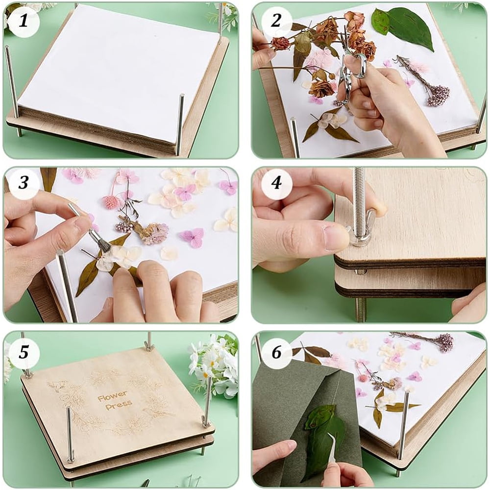 including Wood SheetTracing Paper Staainless Steel Scissor Tweezers Retractable Utility Knife Polishing Brush Pens Bird 274x274x7mm