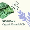 thumbnail image 5 of Plant Therapy Top 3 Organic Singles Set 10 mL (1/3 oz) Lemon, Lavender & Peppermint 100% Pure, Undiluted, Natural Aromatherapy, 5 of 8