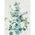 thumbnail image 2 of Nai, Danhui 15x18 White Modern Wood Framed Museum Art Print Titled - Eucalyptus IV Vintage, 2 of 4