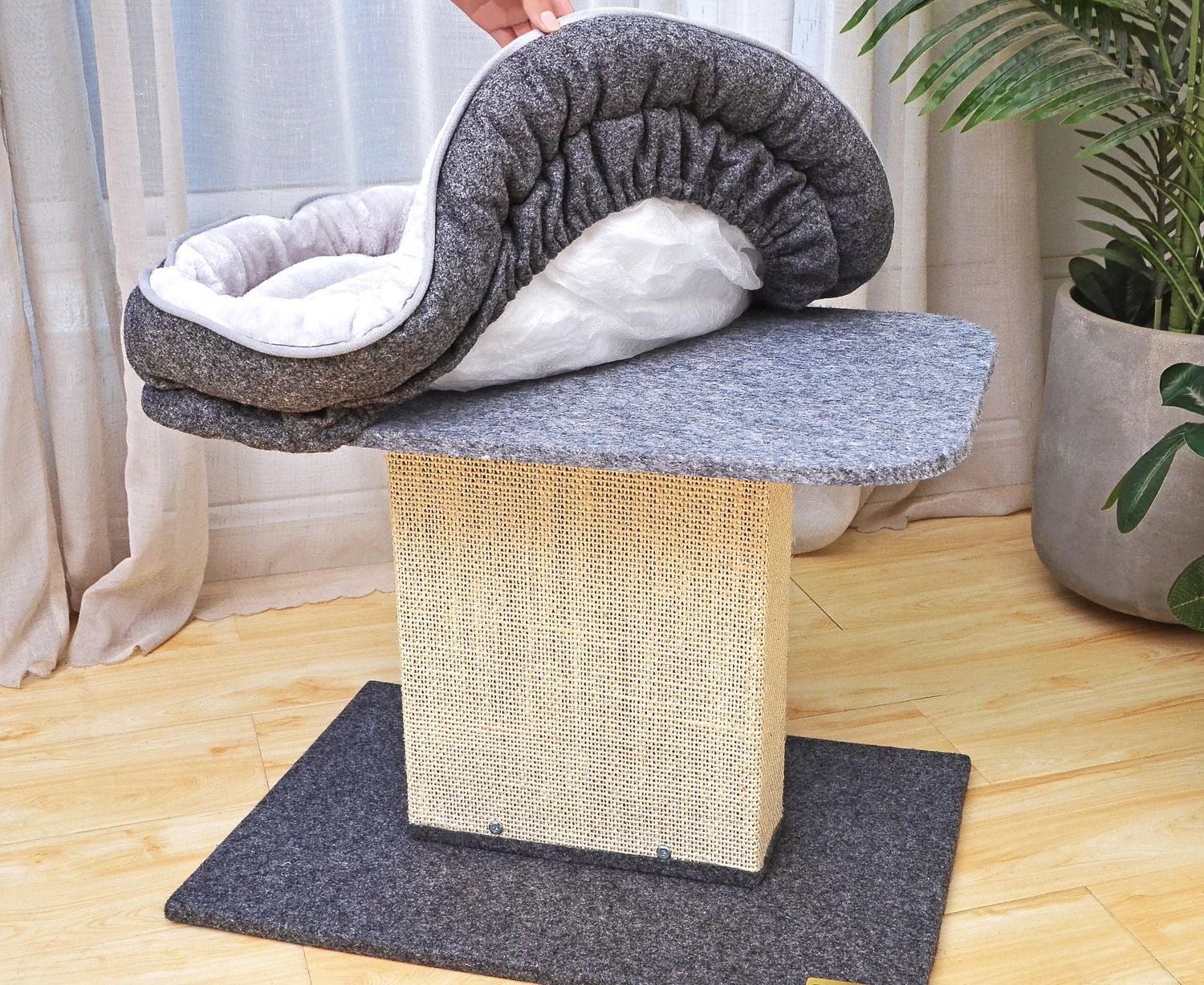 Catry Mellow Small Cat Tree for Large Cats with Scratcher