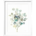 thumbnail image 2 of Art.com Eucalyptus III White Art Print by Danhui Nai, White Frame Wall Art, 17" x 21", 2 of 5