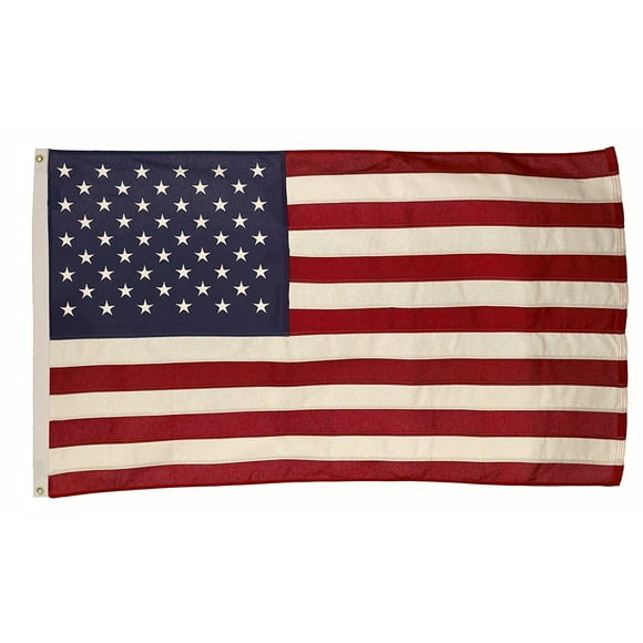 Banner Valley Forge, bandera estadounidense, algodón, 91 x 152 cm