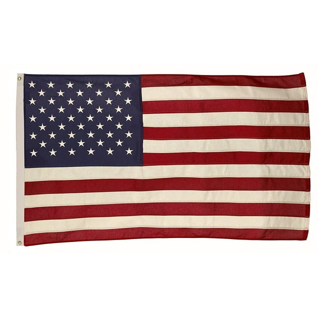 Banner Valley Forge, bandera estadounidense, algodón, 91 x 152 cm