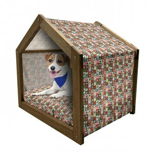 Surprise Pet Box