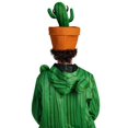 thumbnail image 2 of Slccxzc Cactus Pies Shape Hats Fun Hat for Halloween Birthday Party, 2 of 6