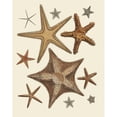 thumbnail image 3 of Fab Funky 12x14 Black Modern Framed Museum Art Print Titled - Starfish Collection 1, 3 of 5
