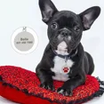 thumbnail image 4 of Pet Artist Personalized Dog Tags Paw Rhinestone Pet Cat ID Name Tag Engraved Free Hair Bows, 4 of 8