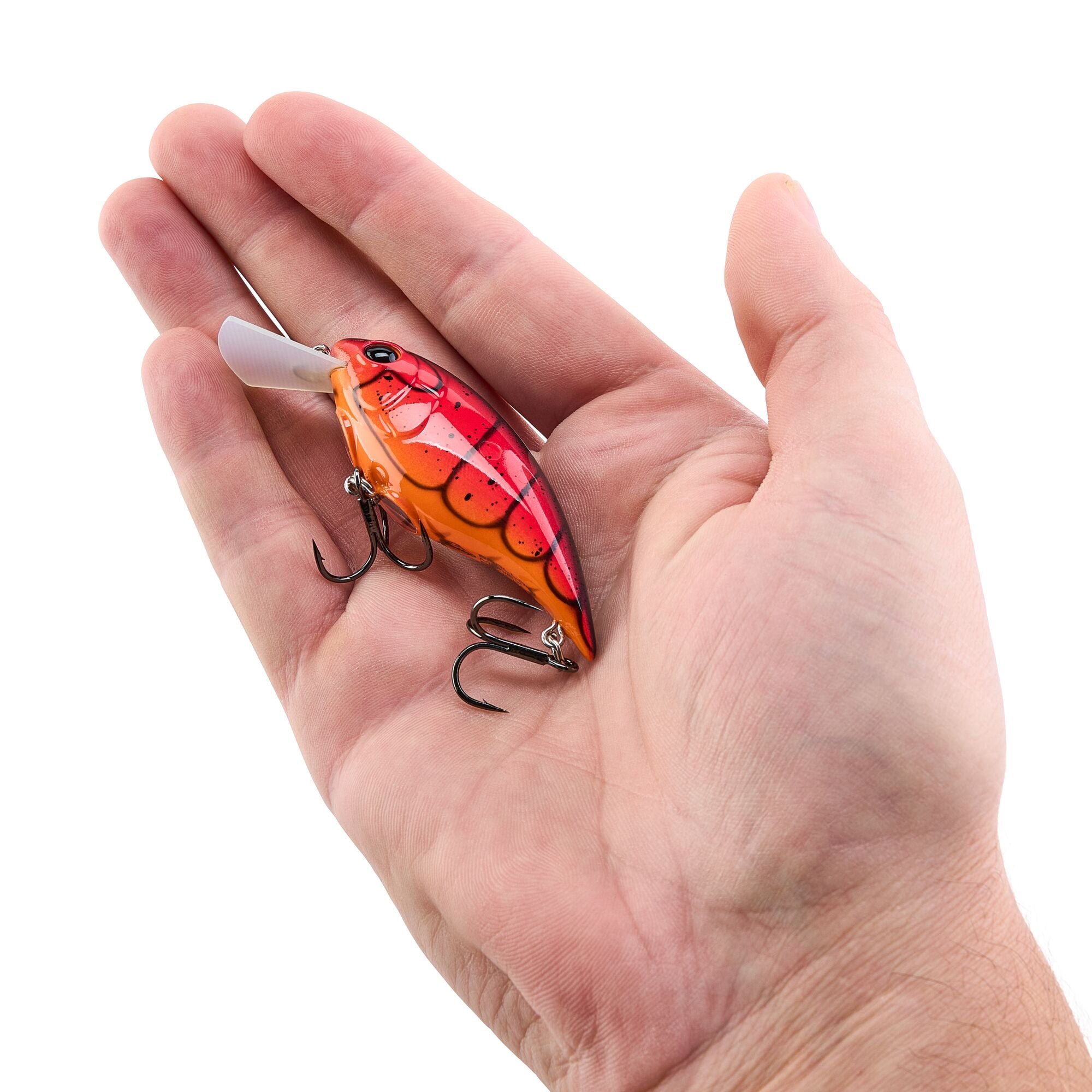 Berkley Shallow Money Badger, 2.5 in, Crankbaits, Special Red Craw (1 Count)