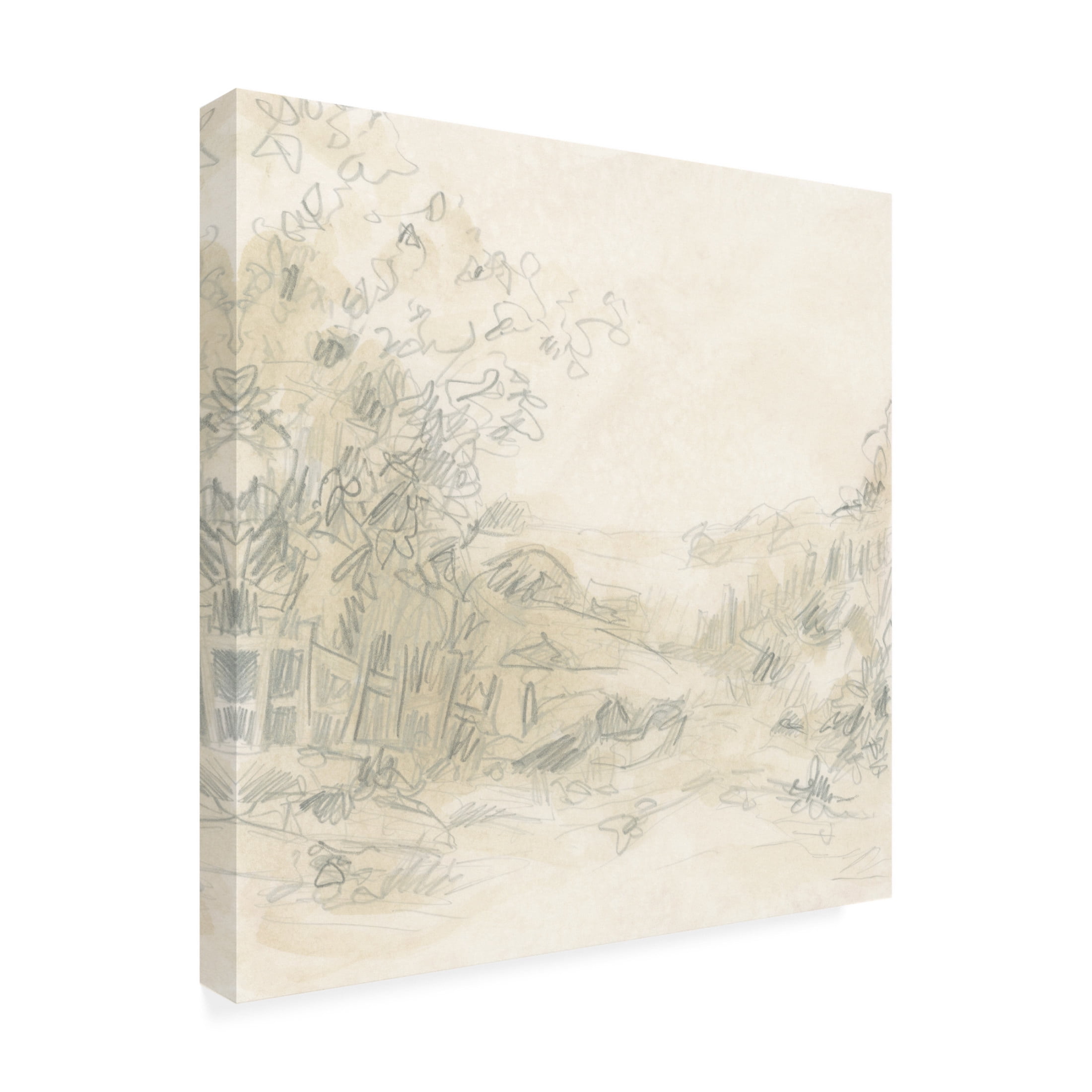 Trademark Fine Art June Erica Vess Parchment Field Study I Canvas Wall Art
