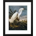thumbnail image 2 of Audubon: Egret, Animals Framed Art Print Wall Art by John James Audubon Sold by Art.Com, 2 of 6