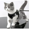 thumbnail image 3 of Dog Harness and Leash, Adjustable Breathable Dog Vest, Training for Extra Small Dogs - Black,M, 3 of 5
