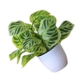 thumbnail image 3 of Langgg Artificial Potted Plant Leaf Simulation Leaves Home Office Desktop Greenery Decoration, Plant Type 8, 3 of 7