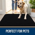 thumbnail image 6 of Buganda Dog Door Mats and Rugs, Washable Mat for Dog Paws, Absorbs Moisture and Dirt, Chenille Indoor Door Mats, 40x32, Black, 6 of 8