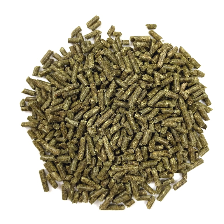 Oxbow Essentials Young Guinea Pig Food, 10 Lbs photo 8