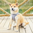 thumbnail image 6 of Reflective Strip Pet Vest Leash Set - Anti-Escape Chest Strap - Traction Rope Kit - Outdoor Gear, 6 of 8