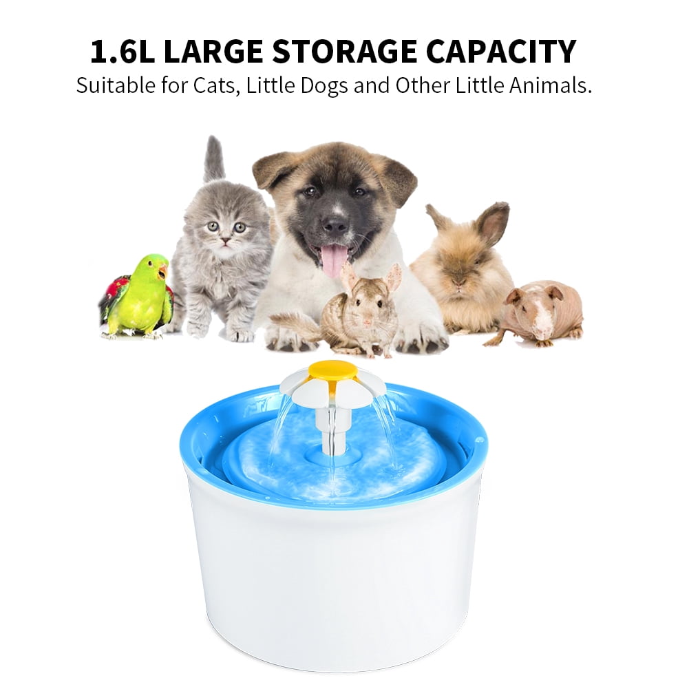 cat water fountain walmart