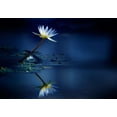 thumbnail image 2 of Suzuki, Takashi 24x18 White Modern Wood Framed Museum Art Print Titled - Reflection, 2 of 4
