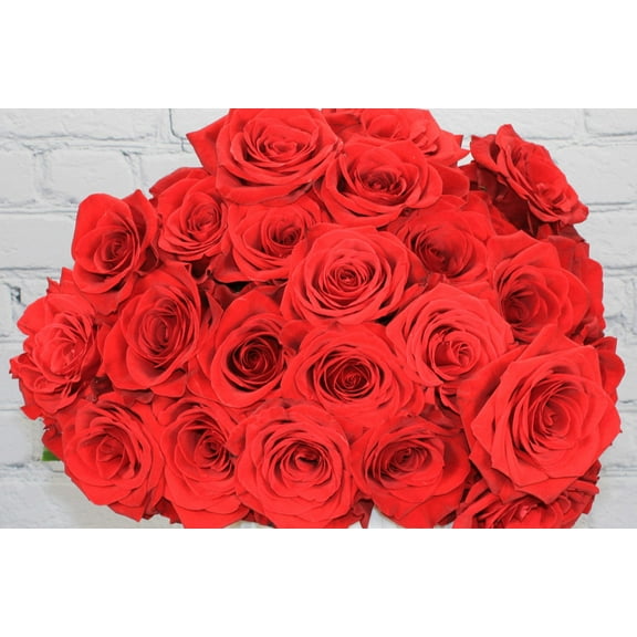 Real Touch Flowers - Fresh & Natural Red Roses - 1 Bunch (25 Stems)