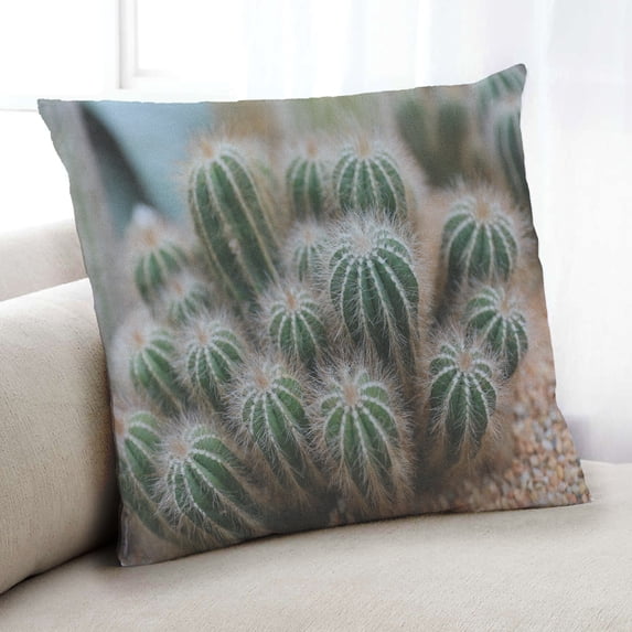Ahgly Company Plants Cactus Indoor Throw Pillow, 18 inch by 18 inch