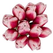 Fresh-Cut Tulips Flower Bunch, 11 Stems, Colors Vary