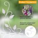 thumbnail image 3 of 2 Pieces Hanging Plant Hook With Screws H Hook Plant Bird Ers, 3 of 5