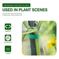 thumbnail image 4 of Plant Tie, 5 Rolls Self Adhesive Hook And  Wrap  For Plant Support, 4 of 8