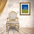 thumbnail image 3 of Eggers, Terry 12x14 Gold Ornate Wood Framed with Double Matting Museum Art Print Titled - USA-Washington State Lone Tree on hillside with spring wildflowers, 3 of 4