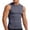 #Dark Gray, variant on DPTALR Men's Breathable Elastic Quick-Drying Sports Tank Top,Fitness Running Training T-Shirt Top,Sky Blue, S