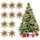 thumbnail image 1 of Navidad Reutilizable De 10Cm, Flores Artificiales Huecas Dobles, Decoración De Navidad, Adorno Para Árbol De Navidad Cateissary HA043610-03, 1 of 6