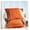 Rust, variant on saney Faux Fur Throw Pillows for Couch with Inserts Included - Decorative Furry Sofa Pillows - 18" x 18" - Rust (Set of 2)