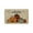 B, variant on TopLLC Area Rug, Rugs for Living Room, Washable Area Rug Halloween Pumpkin Floor Mat Water Absorbing And Dirt Entrance Mat Scary Decorative Floor Mat a carpet