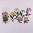 thumbnail image 1 of 6pcs/pack Flower Shop Series Decorative Stickers - Perfect for Scrapbooking, Labeling, Diary Albums & More!, 1 of 5