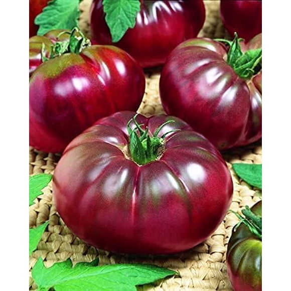 HJADGG 50 Seeds Tomato Black Prince Non GMO Heiroom Vegetable for Planting (49)