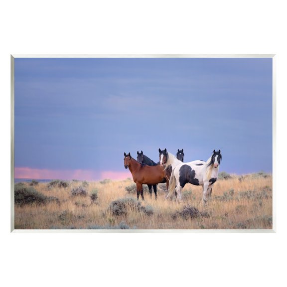 Stupell Industries Country Horses in Meadow Animals & Insects Photography Unframed Art Print Wall Art, 15 x 10