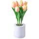 thumbnail image 1 of Lámpara de noche de tulipán LED recargable, paquete de flores de simulación, lámpara de imitación, mesita de noche para dormitorio, 1 of 6