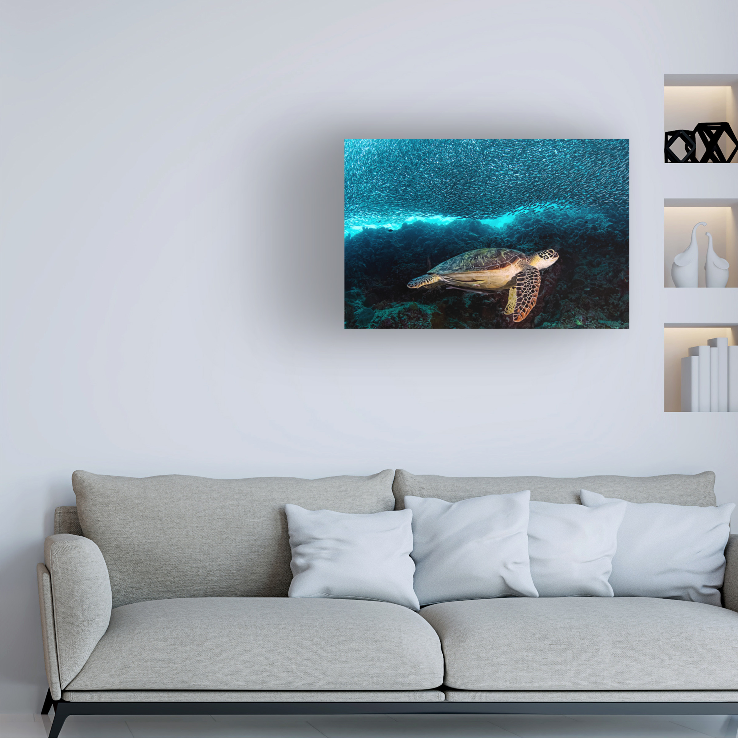 Henry Jager 'Turtle And Sardines' Canvas Art