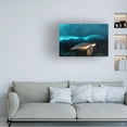 thumbnail image 2 of Henry Jager 'Turtle And Sardines' Canvas Art, 2 of 4