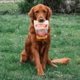 thumbnail image 4 of Farm To Pet Chicken Chips Crunchy Training Treats for Dogs, 4oz, 4 of 11