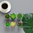 thumbnail image 3 of Assortiment de Plantes Succulentes en Pot, 3 of 5