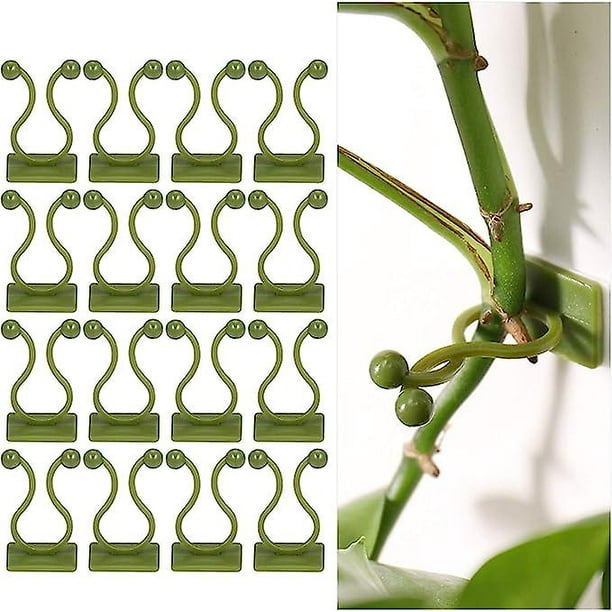 100 clips de soporte para plantas trepadoras, clips autoadhesivos para plantas, clip de montaje en pared de vid verde, fijador de pared, clip de gancho de soporte para plantas, clip de estac