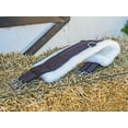 thumbnail image 7 of Comfort Plus CLFS50 50 in. Fleece English Girth with Double Elastic - Brown with White, 7 of 7