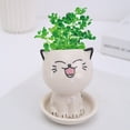 thumbnail image 1 of Ceramic Flowerpot Mini Cat Shaped Cartoon Potted Plant Desktop Potted Expression Cat Plant Pot Desk Decorate Small Ornament, 1 of 4
